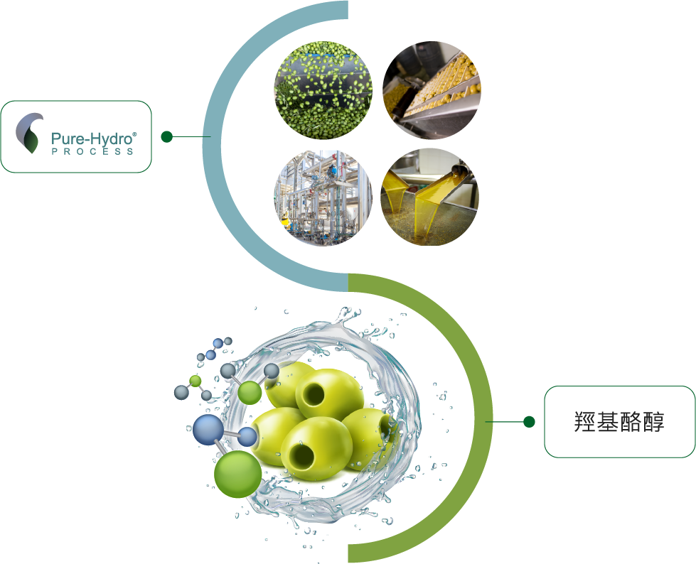 透過Pure-Hydro® Process 專利水萃技術，獲取到稀有的羥基酪醇(橄欖多酚)